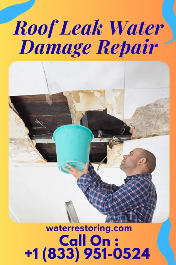 Roof Leak Water Damage Repair in Tullos, LA