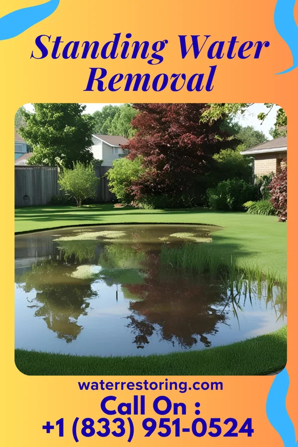 Standing Water Removal in Tullos, LA